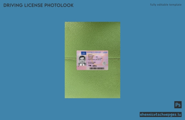 Finnischer Führerschein 2013-heute: Beispielvorschau für die Fotoansicht